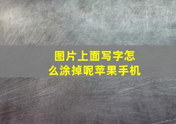 图片上面写字怎么涂掉呢苹果手机