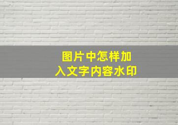 图片中怎样加入文字内容水印