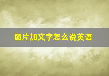 图片加文字怎么说英语