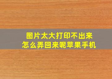 图片太大打印不出来怎么弄回来呢苹果手机