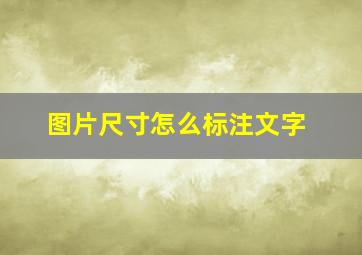 图片尺寸怎么标注文字