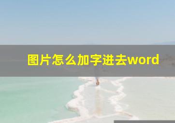 图片怎么加字进去word