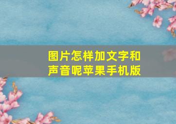 图片怎样加文字和声音呢苹果手机版