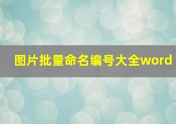 图片批量命名编号大全word