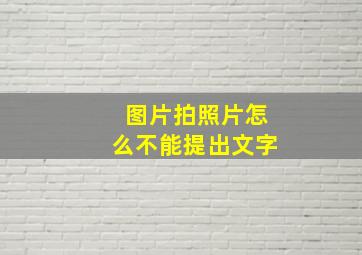 图片拍照片怎么不能提出文字