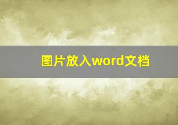 图片放入word文档