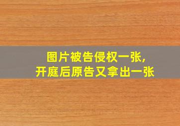 图片被告侵权一张,开庭后原告又拿出一张