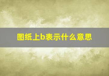 图纸上b表示什么意思