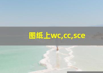 图纸上wc,cc,sce