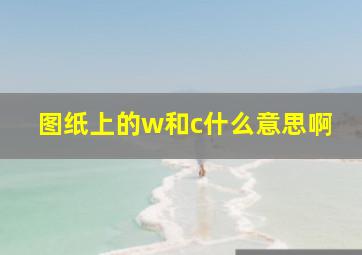 图纸上的w和c什么意思啊