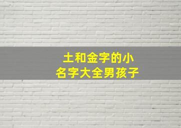 土和金字的小名字大全男孩子