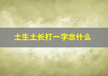 土生土长打一字念什么