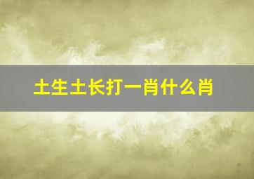 土生土长打一肖什么肖