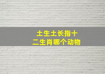 土生土长指十二生肖哪个动物