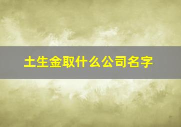 土生金取什么公司名字