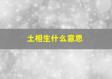 土相生什么意思