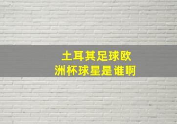 土耳其足球欧洲杯球星是谁啊