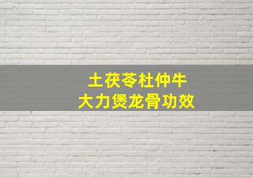 土茯苓杜仲牛大力煲龙骨功效