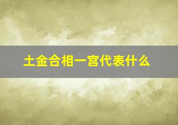 土金合相一宫代表什么