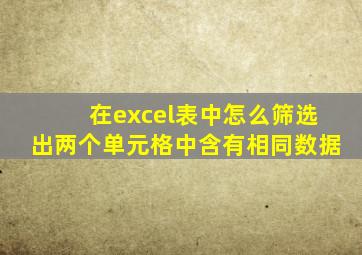 在excel表中怎么筛选出两个单元格中含有相同数据