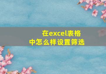 在excel表格中怎么样设置筛选