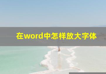 在word中怎样放大字体