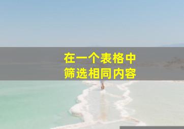 在一个表格中筛选相同内容