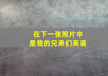 在下一张照片中是我的兄弟们英语