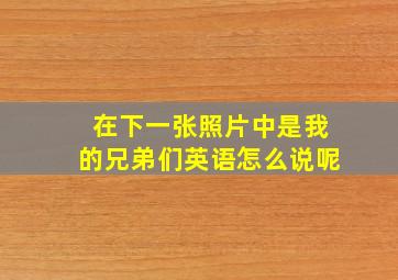 在下一张照片中是我的兄弟们英语怎么说呢