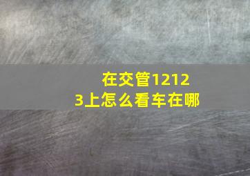 在交管12123上怎么看车在哪