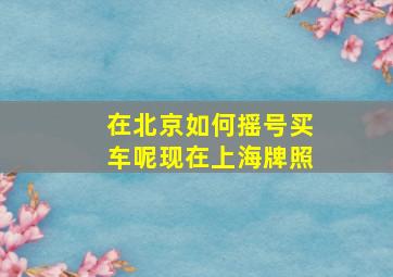 在北京如何摇号买车呢现在上海牌照