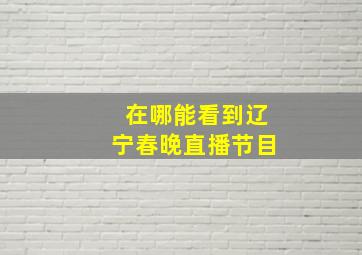 在哪能看到辽宁春晚直播节目