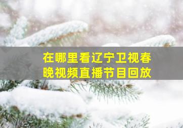 在哪里看辽宁卫视春晚视频直播节目回放