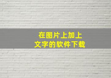 在图片上加上文字的软件下载