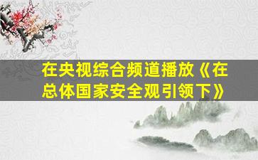 在央视综合频道播放《在总体国家安全观引领下》