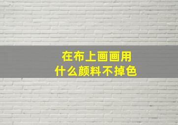 在布上画画用什么颜料不掉色