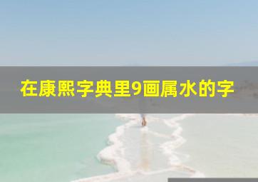 在康熙字典里9画属水的字