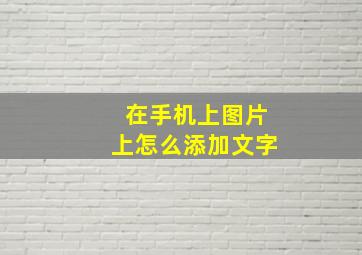 在手机上图片上怎么添加文字