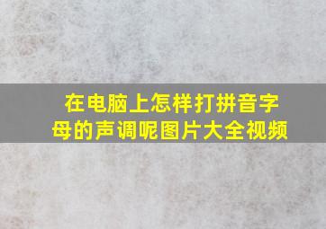 在电脑上怎样打拼音字母的声调呢图片大全视频