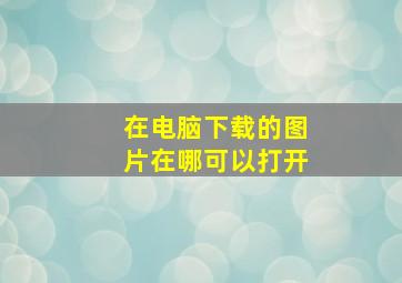 在电脑下载的图片在哪可以打开