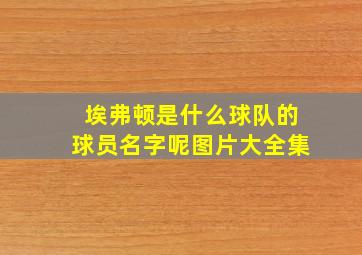 埃弗顿是什么球队的球员名字呢图片大全集