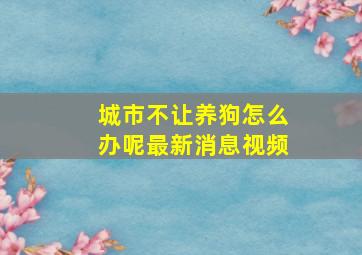 城市不让养狗怎么办呢最新消息视频