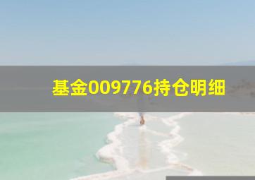 基金009776持仓明细