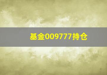 基金009777持仓