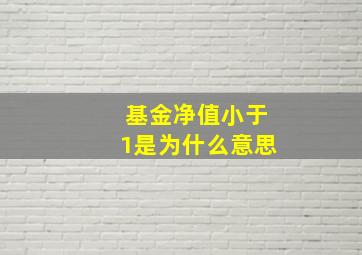 基金净值小于1是为什么意思