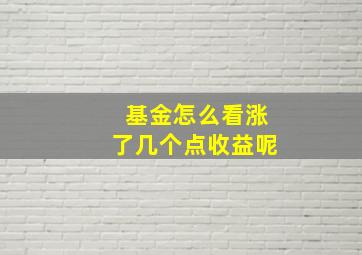 基金怎么看涨了几个点收益呢