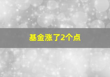 基金涨了2个点