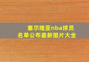 塞尔维亚nba球员名单公布最新图片大全