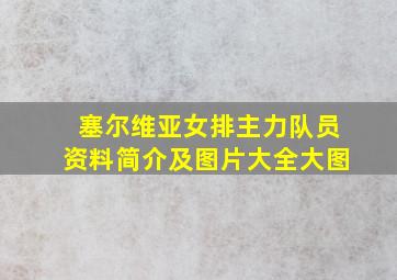 塞尔维亚女排主力队员资料简介及图片大全大图