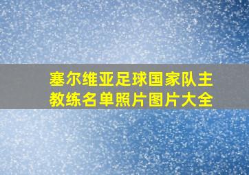 塞尔维亚足球国家队主教练名单照片图片大全